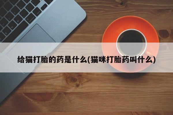 堕胎药如何购买给猫打胎的药是什么(猫咪打胎药叫什么)